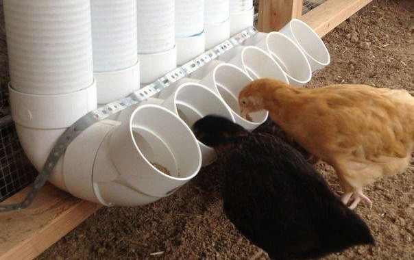 Кормушка из пластиковых труб своими руками для цыплят и кроликов